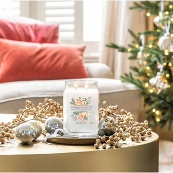 White Spruce & Grapefruit Signature Candle ( biely smrek a grapefruit ) - Vonná sviečka
